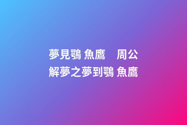 夢見鶚 魚鷹　周公解夢之夢到鶚 魚鷹